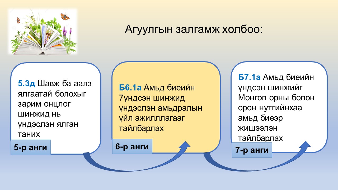 Мэдлээ | Цахим контент